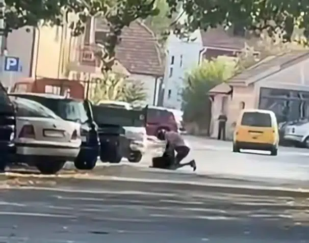 Cetinjanin uhapšen zbog sumnje da je tukao psa