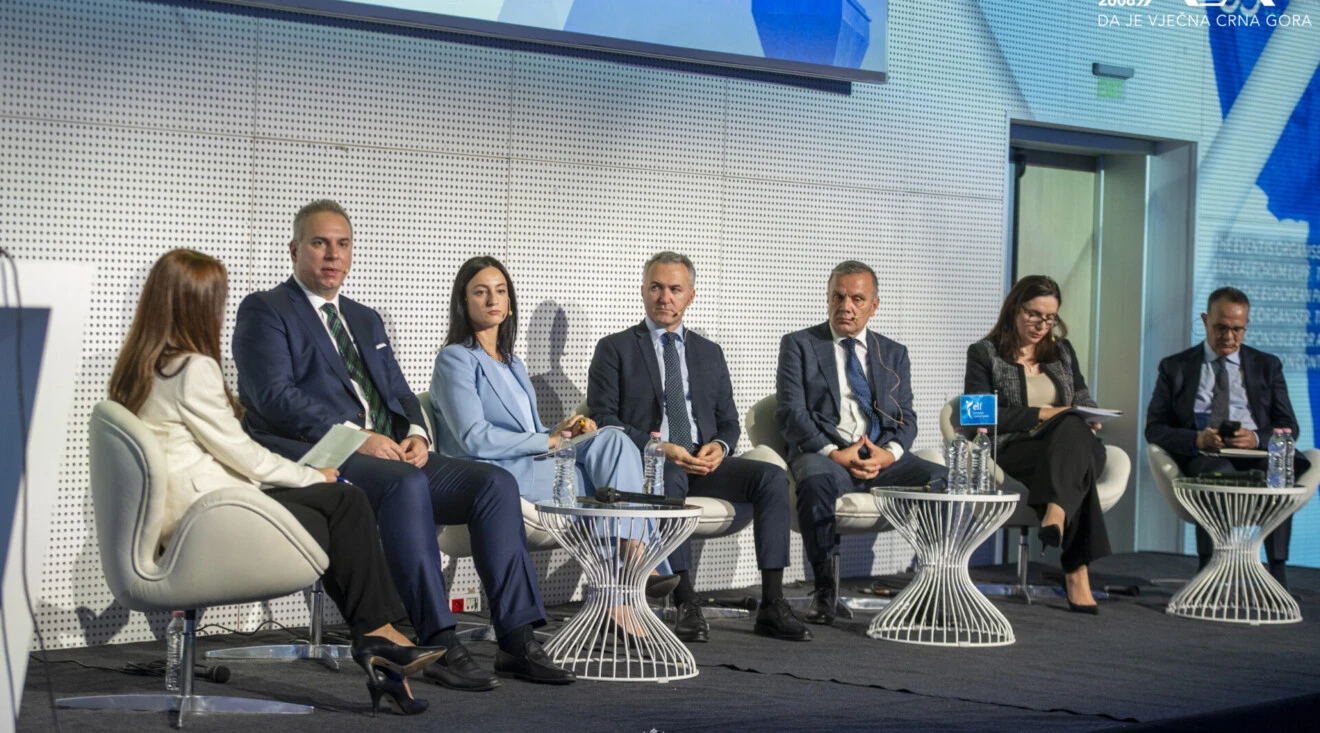 Ivanović: Crna Gora je na završnoj liniji evropskog puta