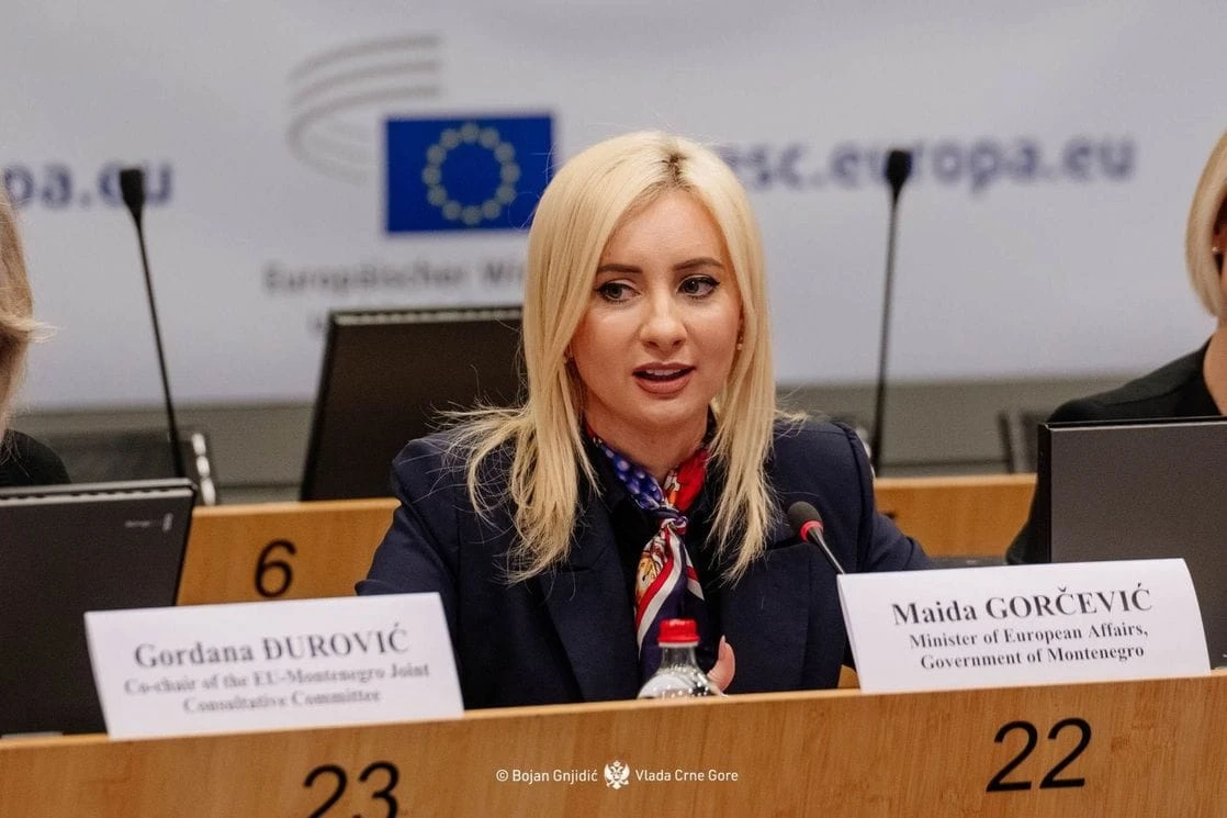 Gorčević: Realno očekivati da zatvorimo poglavlja 18 i 19 prije oktobarske Međuvladine konferencije