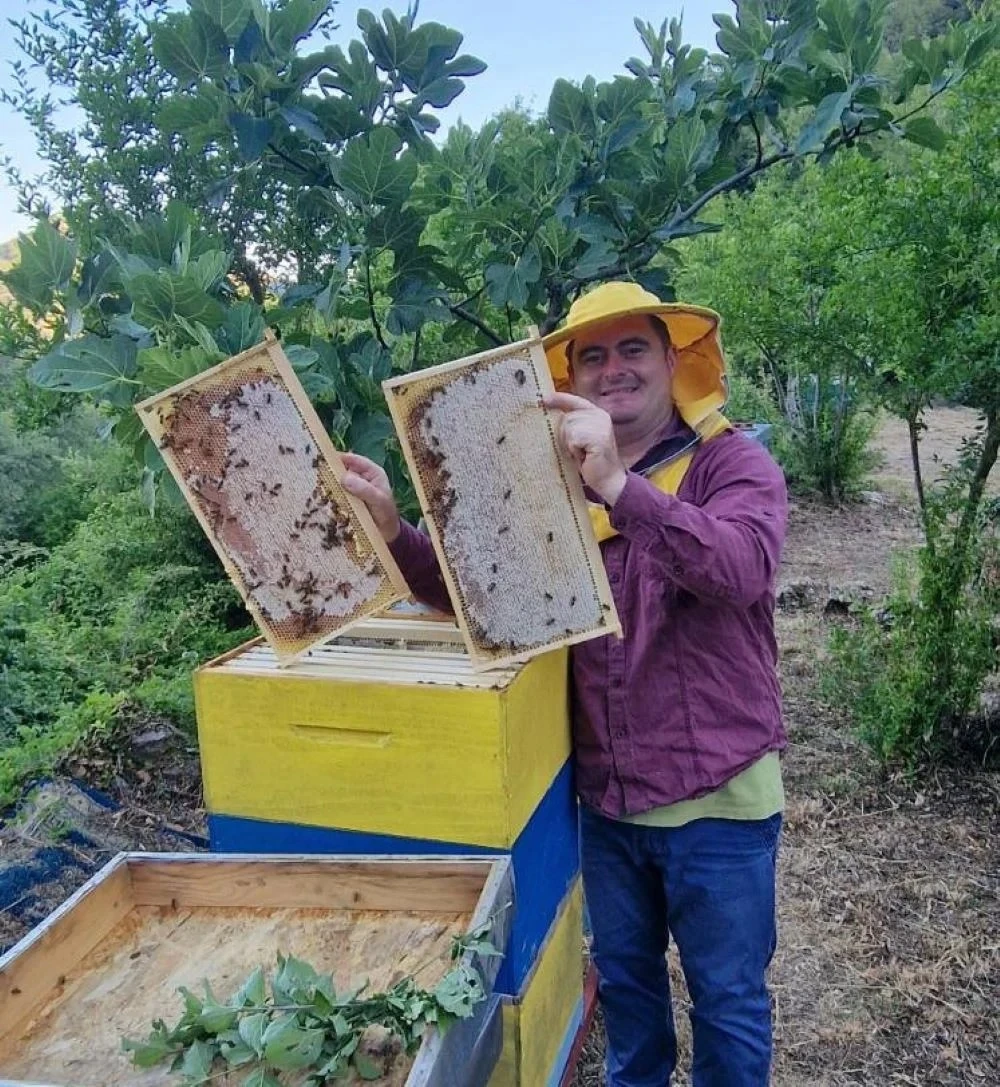 Dobri prinosi pčelara Arsenija Plamenca: Po košnici 16,6 kilograma meda
