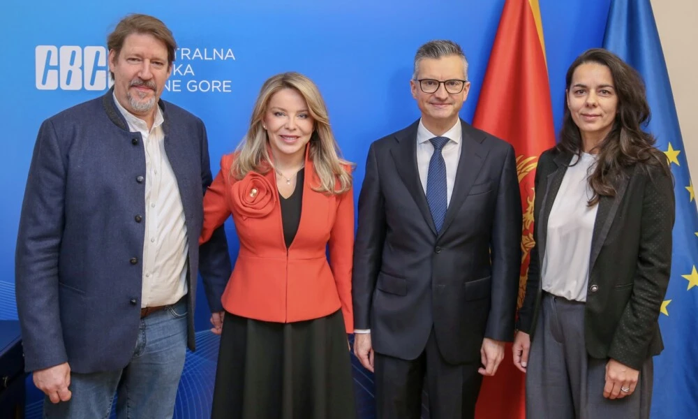 Radović sa poslanicima EP: CBCG se priprema za funkcionisanje u evropskom finansijskom sistemu