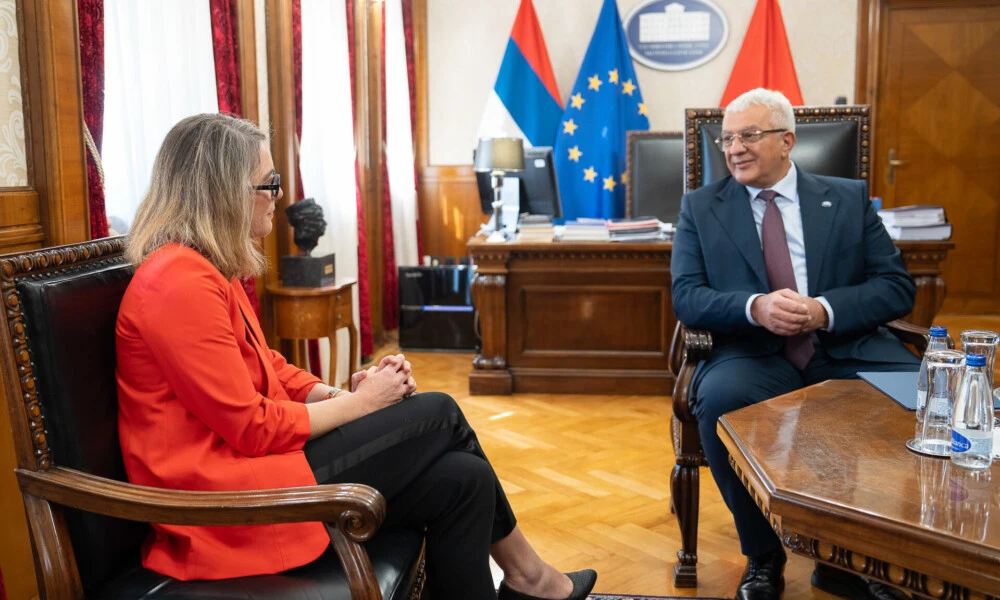Mandić i Amber Buvije: Evropska agenda i ustavne reforme apsolutni prioritet Skupštine