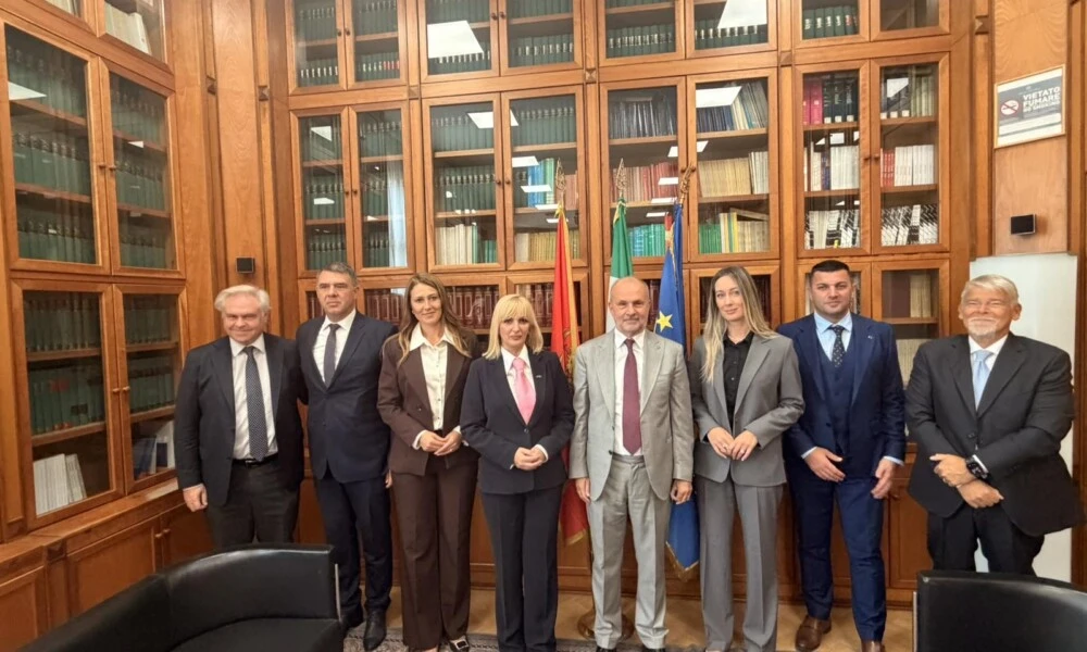 Borovinić Bojović sa ministrom zdravlja Italije: Jačanje saradnje sa evropskim partnerima
