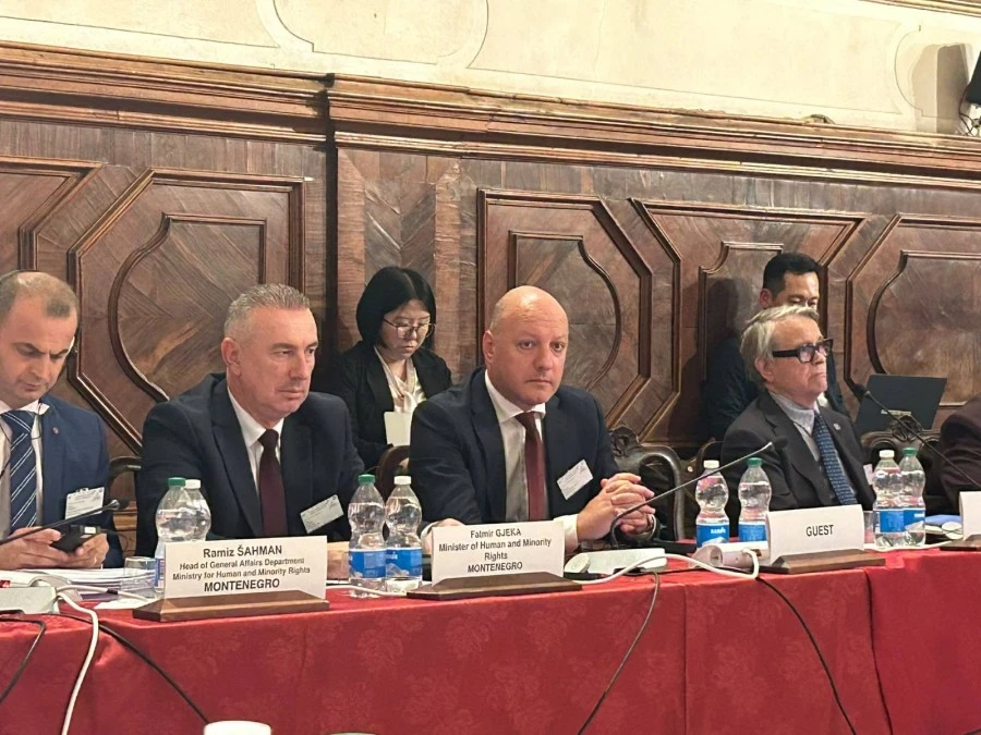 Venecijanska komisija usvojila mišljenje na izmjene Zakona o manjinskim pravima i slobodama