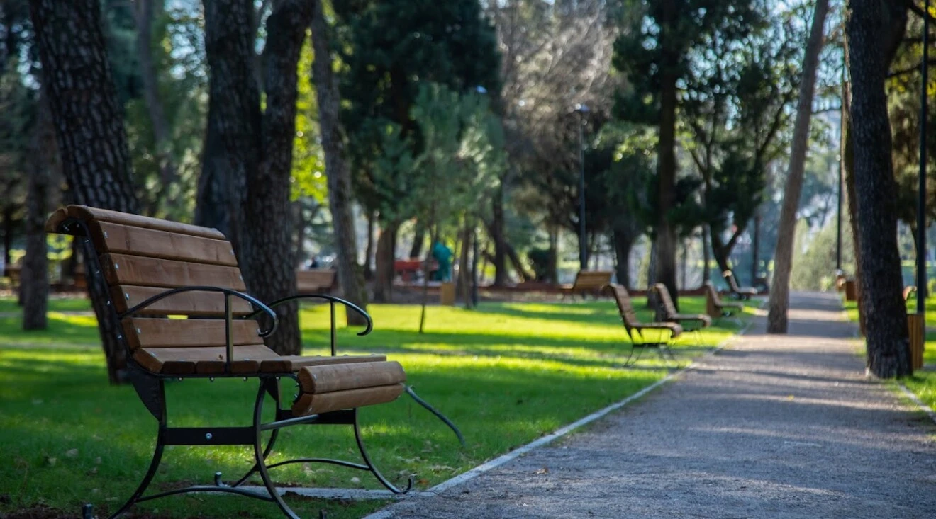 GP Zelenilo za kapitalne projekte traži 3,75 miliona eura iz budžeta grada