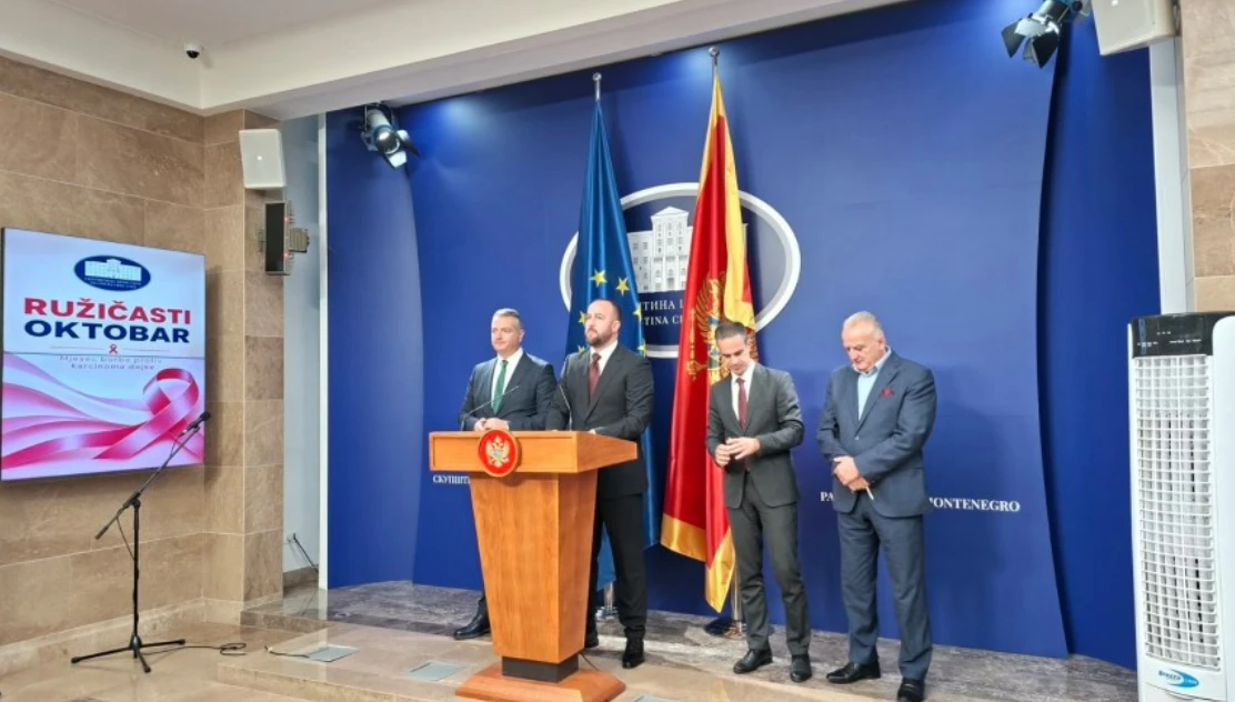 Nikolić: DPS će učestvovati u raspravi o razrješenju Mandića